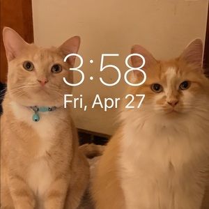 Meet your Posher, Robin